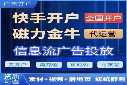 某品牌SEM广告策略揭秘——代运营公司的智慧